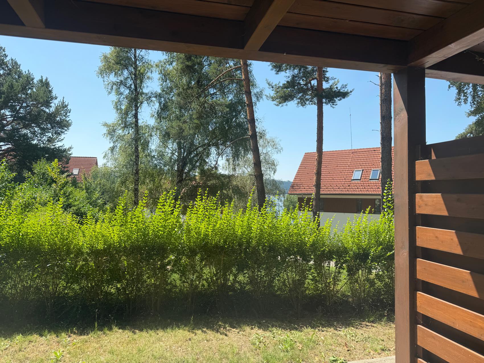 Výhled z terasy na borovice a střechy